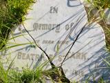 image of grave number 455263